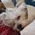 Kim Bunny Tuchman's profile image