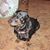 Tuey Amos's profile image
