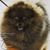 Cherie Test's profile image