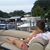 Mattea Hamel's profile image