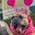 Michelle Ericson's profile image