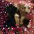 Bonny Brown's profile image
