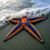 Trisha Hass Danforth's profile image