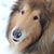 Debbie Napier's profile image