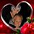 Alice Lehr's profile image