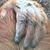 Jamie Breustedt's profile image