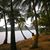 Shruti Sharma's profile image