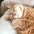 Donna Kayarian Chiacchia's profile image