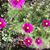 Maryann Micha's profile image