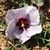 Mary Jane Brantley's profile image