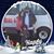 Aliza Ruby Lazaro's profile image