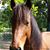 Jean Marie Holtz Smith's profile image