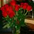 Helma Fisher's profile image