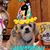 Staci Burton's profile image