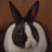 A Yahoo Local User's profile image