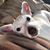 Terri Madaus's profile image
