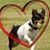 Helga Eisele's profile image