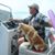 Jerry Shepp's profile image