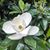 Maria Chenevert's profile image