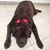 Marcia Camillo's profile image