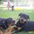 Jean Mary's profile image