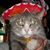 Joanne Hertel's profile image