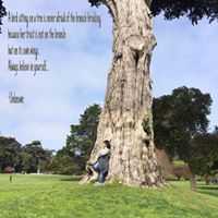 Josie C. Deasis's profile image