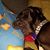 Audry Fahey Last's profile image