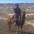 Todd Propson's profile image