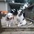 Deb Gregerson's profile image