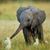 Tracy Lawrence Smith's profile image