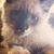 Erin Peterson's profile image