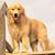 Jeanne Ottoson's profile image