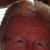Robert P. Harle's profile image