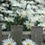 Kathy M Anderson's profile image