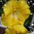 Kathy Arnold's profile image