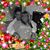 Dee Carr Hill's profile image