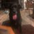 Carolyn Olivier's profile image