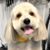 Al Neace's profile image