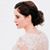 Heidi Greve's profile image