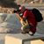 Saverio Mago Morlino's profile image