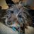 Mary Lou Baney's profile image