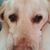 Liz Donahue's profile image