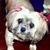 Sandra Vaccari's profile image