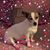 Betsy Yates Cline's profile image