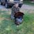 Nathan Kyle Shelton's profile image