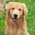 Jeff Fassett's profile image