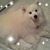 Peggy Filz's profile image