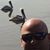 Mario Breazeale's profile image
