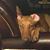 Andrew Picard's profile image